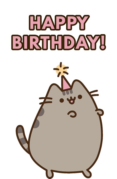 happy birthday cat gif